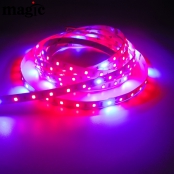5:1 SMD2835 LED Grow Strip