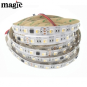 24V RGBW Digital LED Strip