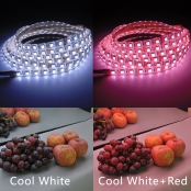  CRI Adjustable LED Strip