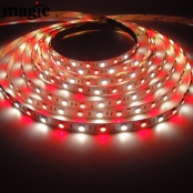 SMD5050 Fresh LED Strip